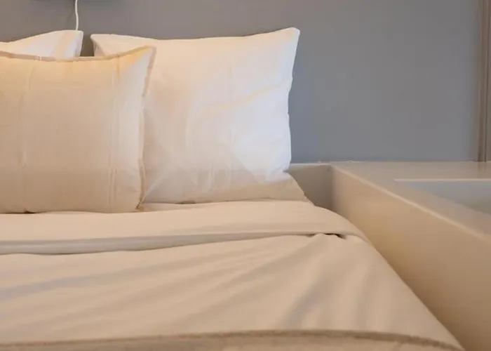 Centre - Grand Atypique ! Lille